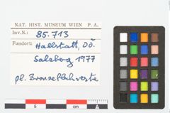 Foto von Bronzeblech (NHMW-PRAE-085713)